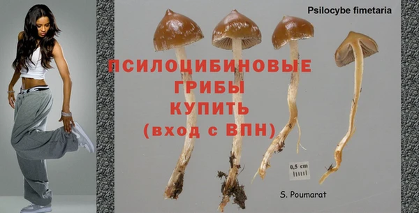метадон Богданович