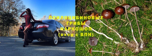 спиды Богородицк