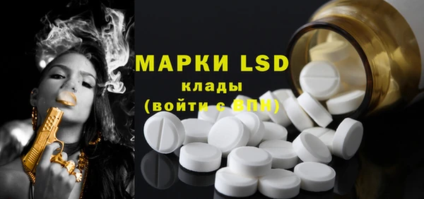 прущие грибы Армянск