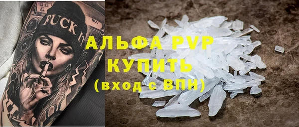 прущие грибы Армянск