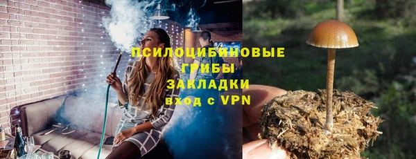 ECSTASY Аркадак