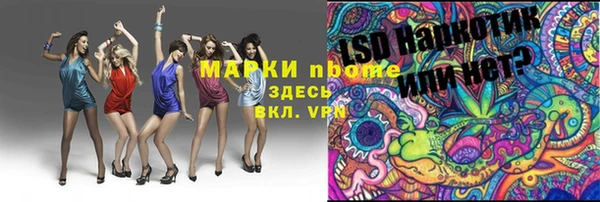 прущие грибы Армянск