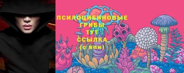 ECSTASY Аркадак