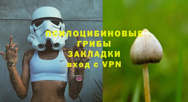 бошки Богородск