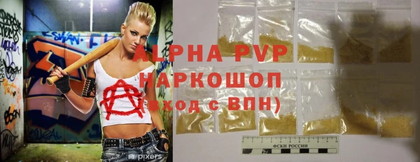 спиды Богородицк